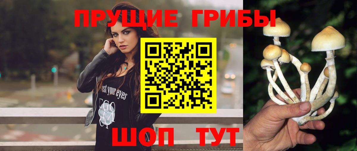 Галлюциногенные грибы GOLDEN TEACHER Партизанск