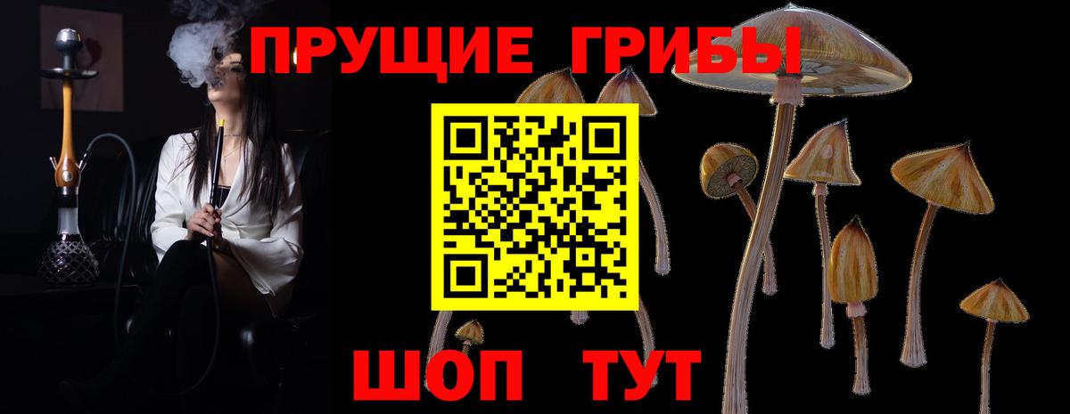 Галлюциногенные грибы Psilocybine cubensis  Галлюциногенные грибы Psilocybine cubensis  Вход с VPN  Партизанск 